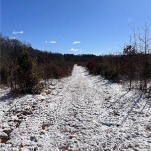 Photo #22 of 10445 Southampton Parkway, Drewryville, Virginia 165.1 acres