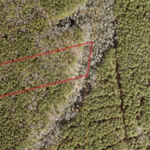 Photo #3 of 6592 Blackwater Road, Virginia Beach, Virginia 4.0 acres