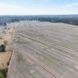 Photo #4 of 556 B Gallbush Road, Chesapeake, Virginia 142.3 acres