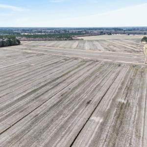 Photo #6 of 556 B Gallbush Road, Chesapeake, Virginia 142.3 acres