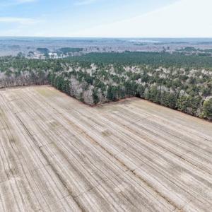 Photo #1 of 556 B Gallbush Road, Chesapeake, Virginia 142.3 acres