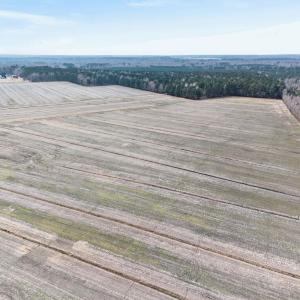 Photo #5 of 556 B Gallbush Road, Chesapeake, Virginia 142.3 acres