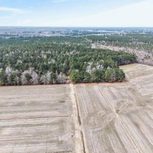 Photo #7 of 556 B Gallbush Road, Chesapeake, Virginia 142.3 acres