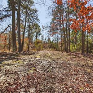 Photo #3 of .659 Old Virginia Beach Road, Virginia Beach, Virginia 0.7 acres
