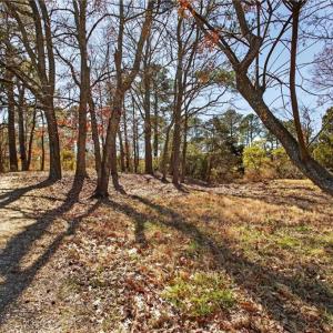 Photo #7 of .659 Old Virginia Beach Road, Virginia Beach, Virginia 0.7 acres