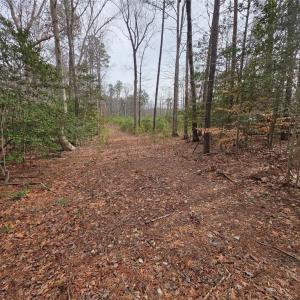 Photo #2 of Buckskin Trl Trail, Gloucester, Virginia 5.0 acres