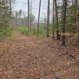 Photo #3 of Buckskin Trl Trail, Gloucester, Virginia 5.0 acres
