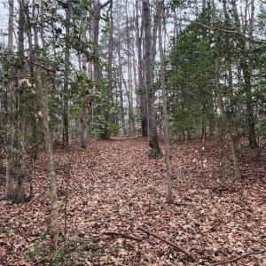 Photo #1 of 5.23Ac Courthouse Road, Providence Forge, Virginia 5.2 acres