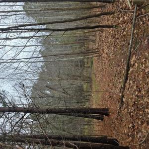 Photo #1 of 4200 John (301728600) Street, Suffolk, Virginia 1.0 acres