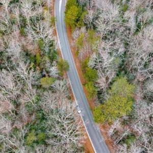 Photo #14 of 2.7 AC Colony Trail, New Kent, Virginia 2.7 acres