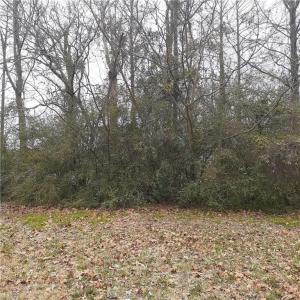 Photo #2 of .27c Hofflers Creek Park, Portsmouth, Virginia 0.3 acres