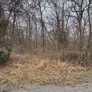 Photo #6 of 240 Dozier Road, Newport News, Virginia 1.0 acres
