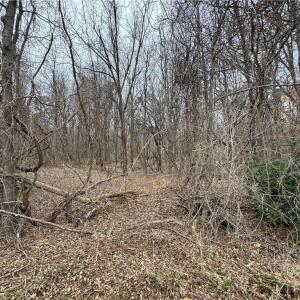 Photo #2 of 240 Dozier Road, Newport News, Virginia 1.0 acres