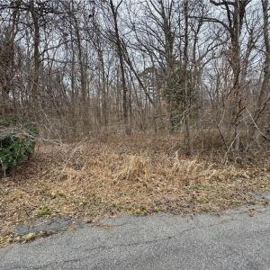 Photo #4 of 240 Dozier Road, Newport News, Virginia 1.0 acres