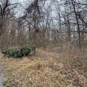 Photo #7 of 240 Dozier Road, Newport News, Virginia 1.0 acres