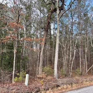 Road Frontage on Seacock Chapel Road