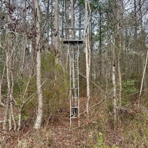 Photo #13 of 108 AC New & Seacock Chapel Road, Ivor, Virginia 108.3 acres