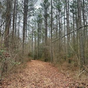 Photo #20 of 108 AC New & Seacock Chapel Road, Ivor, Virginia 108.3 acres