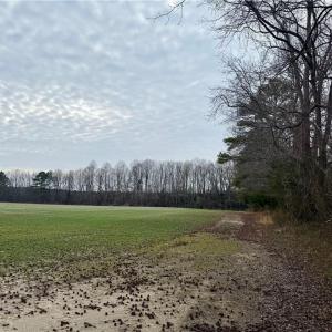 Hedge Row Where Property Line Begins - Off of New Road