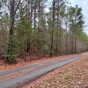 Road Pictured - Deeded Easement of Right of Way from New Road