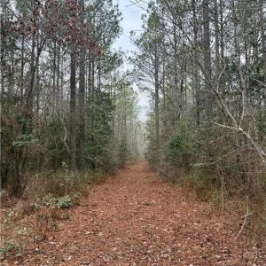 Photo #30 of 108 AC New & Seacock Chapel Road, Ivor, Virginia 108.3 acres