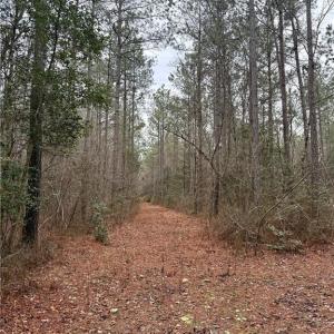 Photo #32 of 108 AC New & Seacock Chapel Road, Ivor, Virginia 108.3 acres