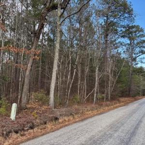 Road Frontage on Seacock Chapel Road