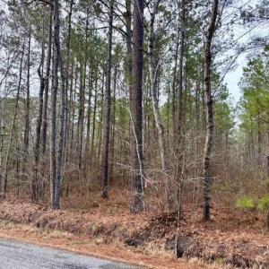 Road Frontage on Seacock Chapel Road