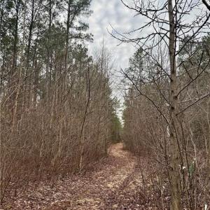 Photo #22 of 108 AC New & Seacock Chapel Road, Ivor, Virginia 108.3 acres