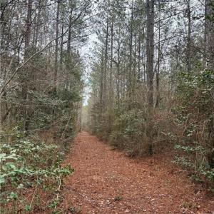 Photo #31 of 108 AC New & Seacock Chapel Road, Ivor, Virginia 108.3 acres