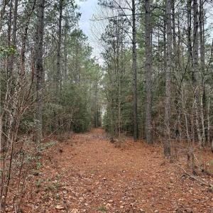 Photo #33 of 108 AC New & Seacock Chapel Road, Ivor, Virginia 108.3 acres