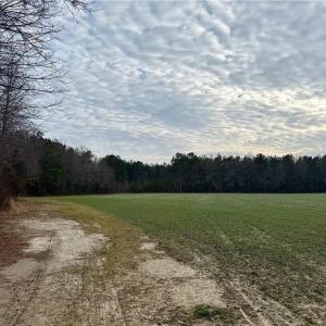 11AC Open Crop Land - Off of New Road