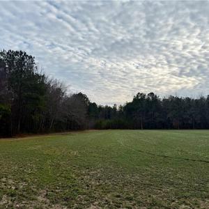 11AC Open Crop Land - Off of New Road