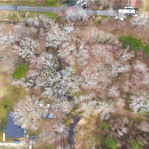 Photo #11 of 3725 Cornland Road, Chesapeake, Virginia 4.9 acres