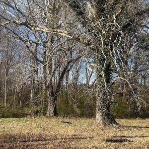 Photo #3 of 3725 Cornland Road, Chesapeake, Virginia 4.9 acres