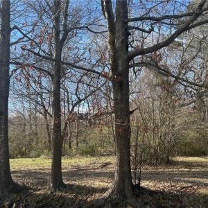 Photo #6 of 3725 Cornland Road, Chesapeake, Virginia 4.9 acres