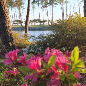 Photo #25 of LOT 53 HERON POINTE Drive, Cape Charles, Virginia 0.3 acres
