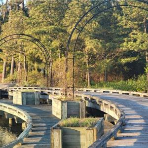 Photo #22 of LOT 53 HERON POINTE Drive, Cape Charles, Virginia 0.3 acres