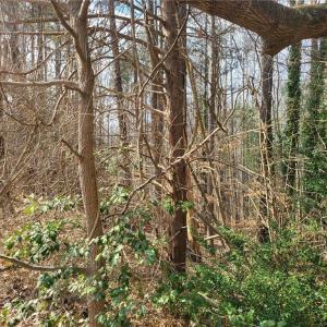 Photo #3 of 4712 Monaco Drive, Sandston, Virginia 0.8 acres