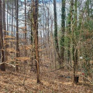 Photo #4 of 4712 Monaco Drive, Sandston, Virginia 0.8 acres