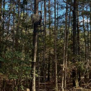 Photo #9 of Lot 6 Fox Chase Drive, Dendron, Virginia 5.1 acres