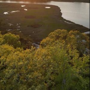 Photo #18 of 3424 Raintree Circle, Suffolk, Virginia 1.0 acres