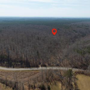 Photo #11 of 38+AC Burleigh Road, Gloucester, Virginia 38.1 acres