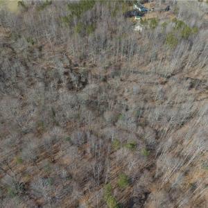 Photo #13 of 38+AC Burleigh Road, Gloucester, Virginia 38.1 acres