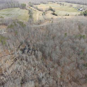 Photo #14 of 38+AC Burleigh Road, Gloucester, Virginia 38.1 acres