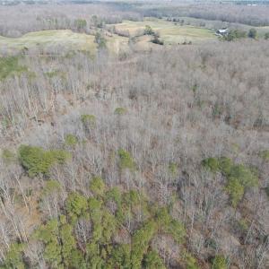 Photo #15 of 38+AC Burleigh Road, Gloucester, Virginia 38.1 acres