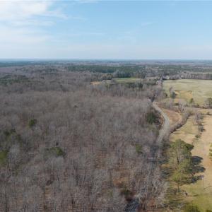 Photo #7 of 38+AC Burleigh Road, Gloucester, Virginia 38.1 acres
