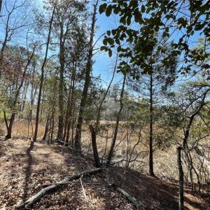 Photo #6 of Lot129 Patriots Ridge, Carrollton, Virginia 0.8 acres