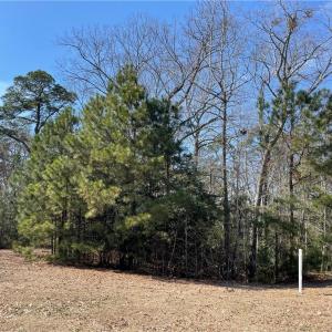 Highly elevated lot