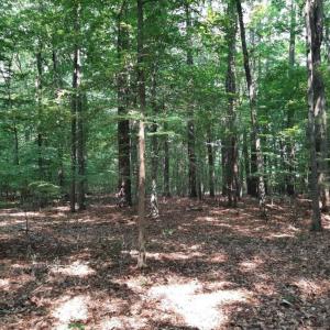 Photo #1 of 6628 Blackwater Road, Virginia Beach, Virginia 6.3 acres